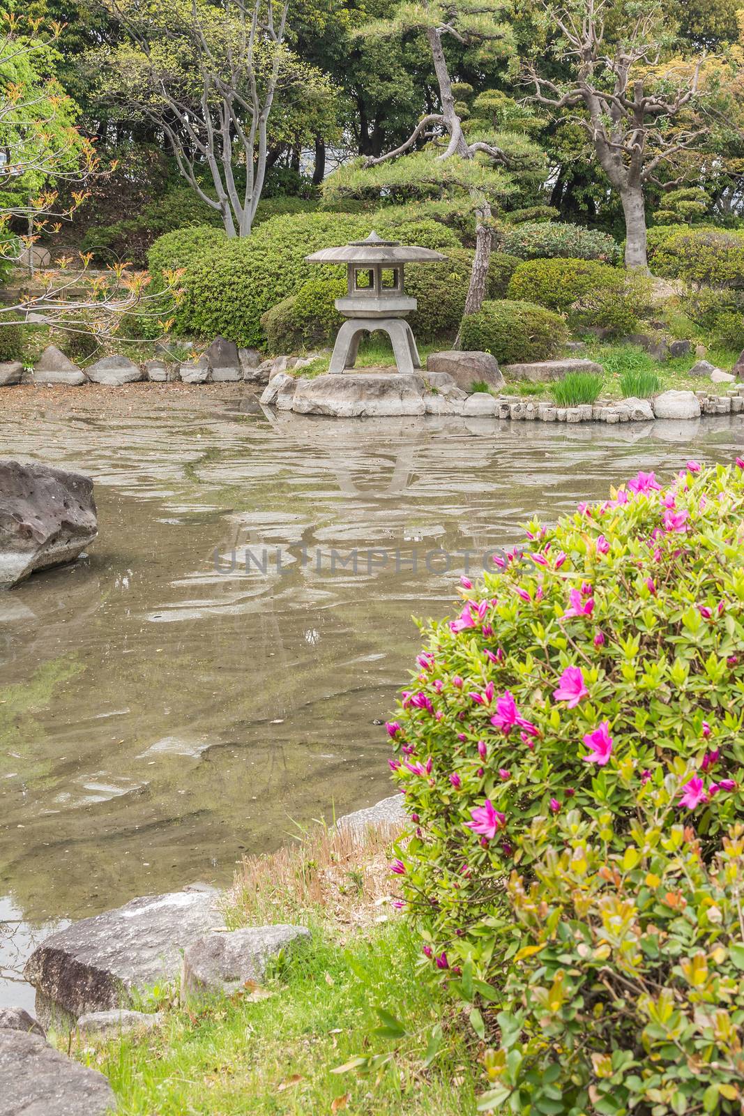 Japanese style garden with stone lantern in Japan, Asia.