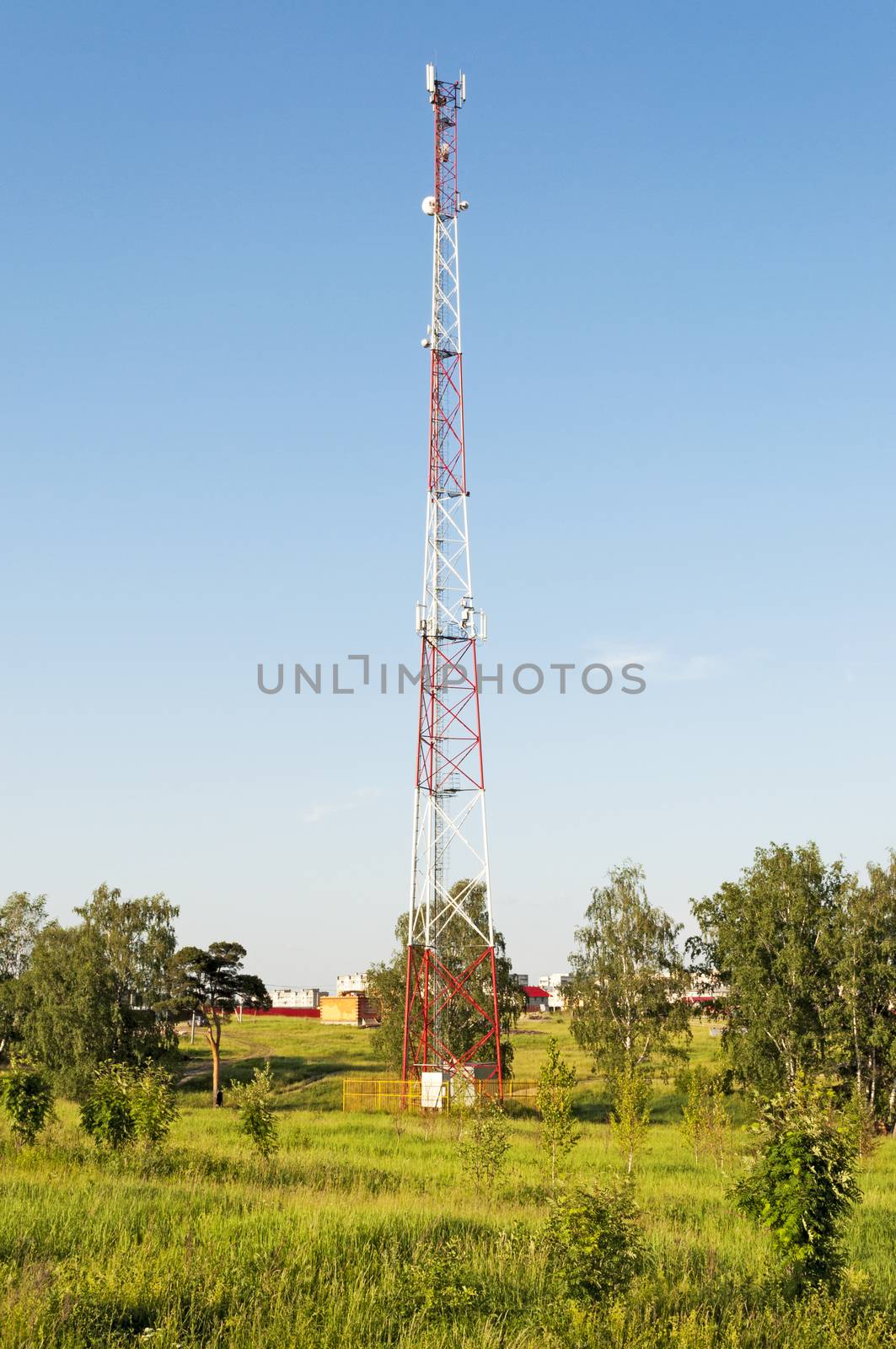 Cellular tower among the trees at the edge of the city