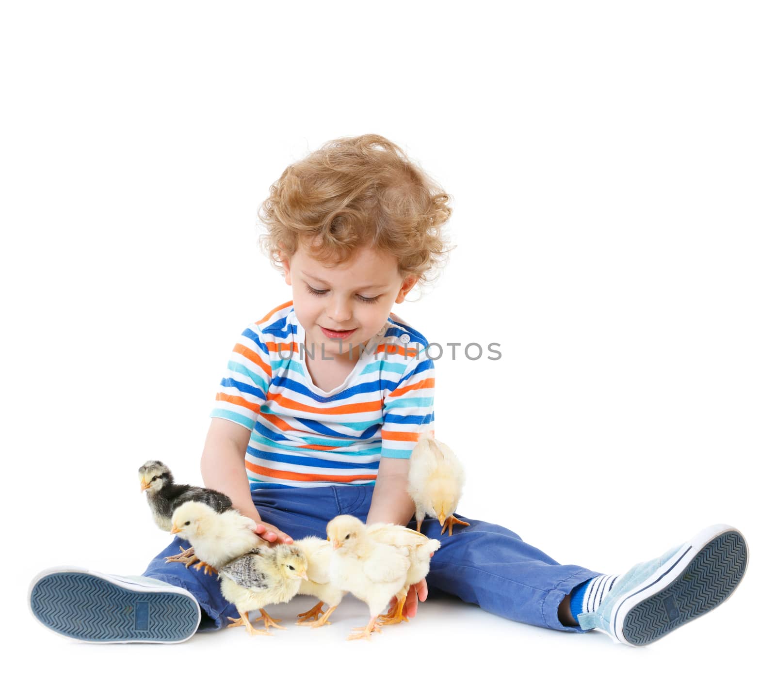 Happy little boy with cute chickens isolated on white background