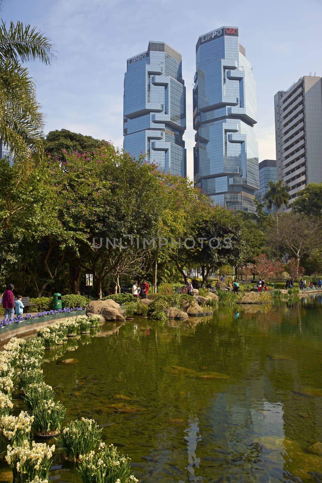People walking around a lake in Hong Kong Park surrounded by tall office buildings.