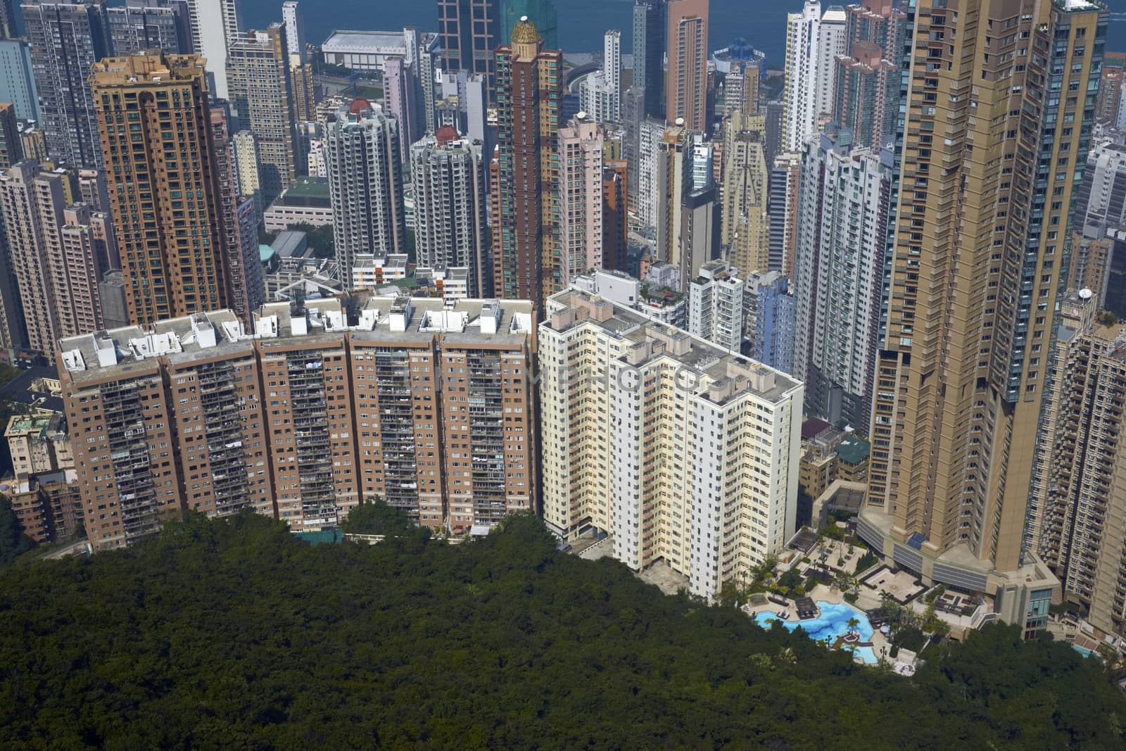 Densely packed tower blocks in the city of Hong Kong, China
