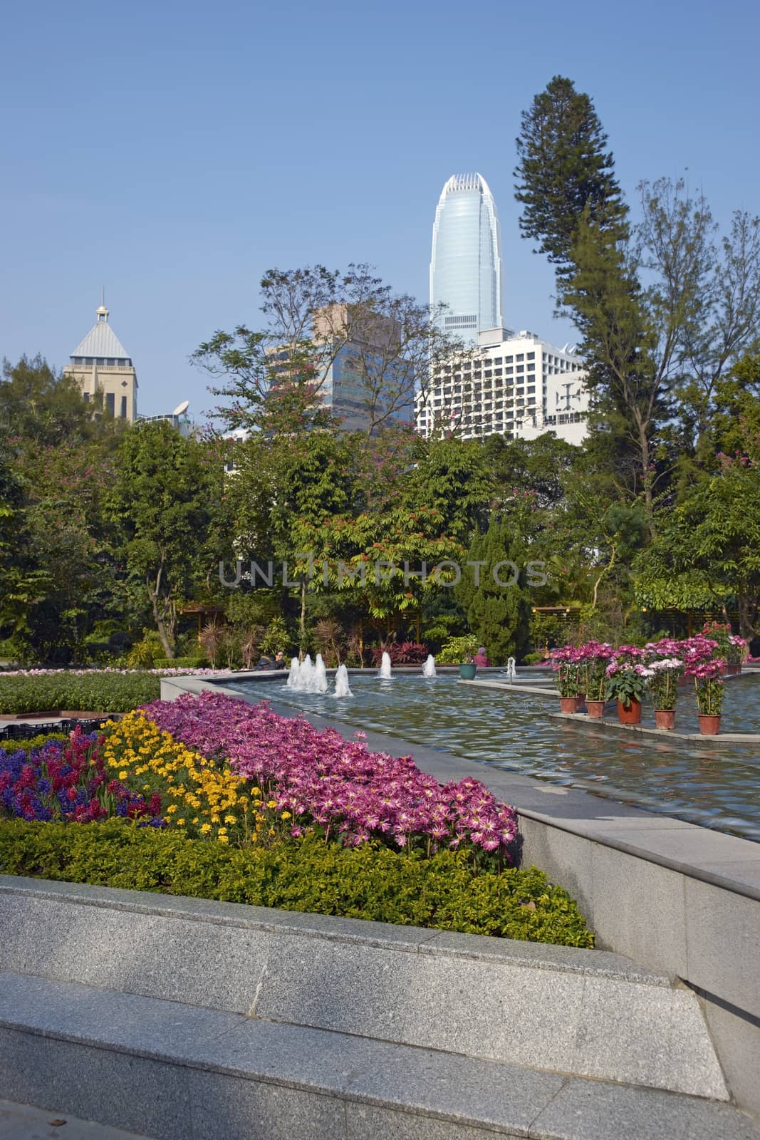 Colorful flowers and fountains in the Botanical Gardens surrounded by tall office buildings in Hong Kong, China.