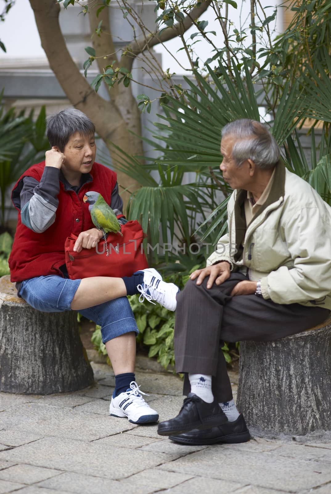 Woman with a parrot perched on her leg sitting talking to a man in the Yuen Po Street Bird Garden in Kowloon, Hong Kong.