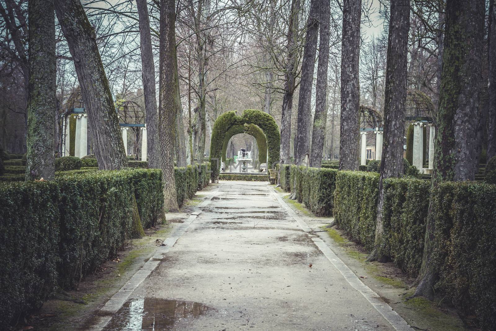 beautiful gardens Palace of Aranjuez, Madrid, Spain by FernandoCortes