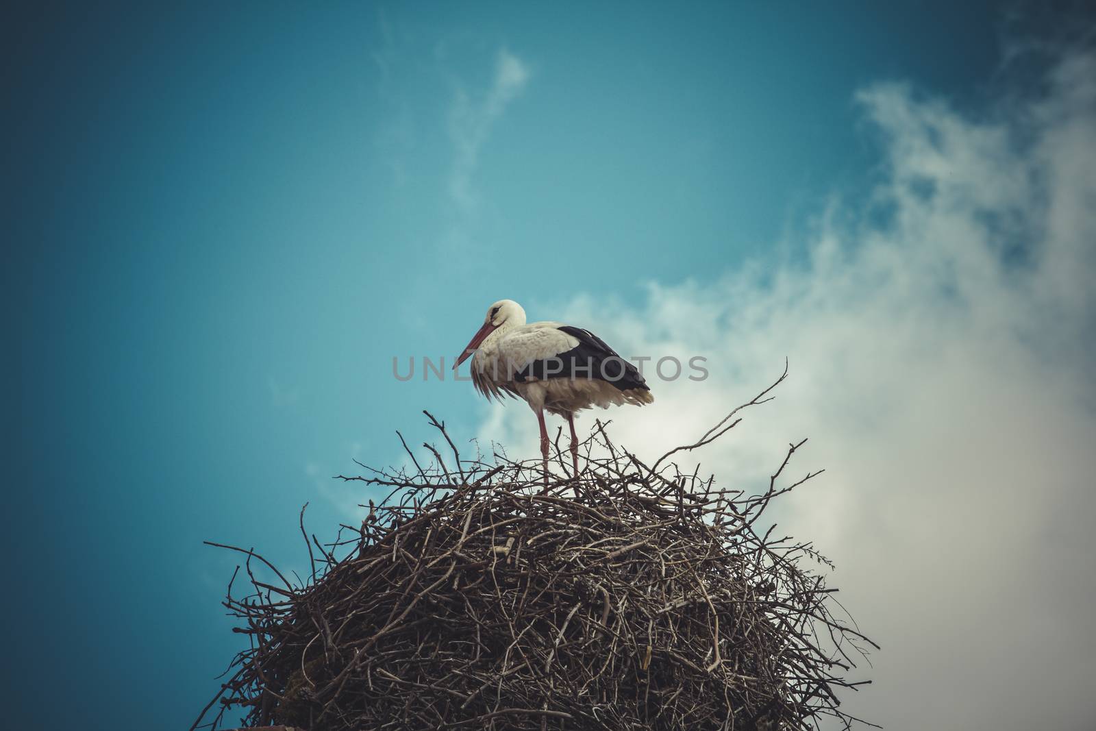 Clouds, Stork nest made ������of tree branches over blue sky in dramatic