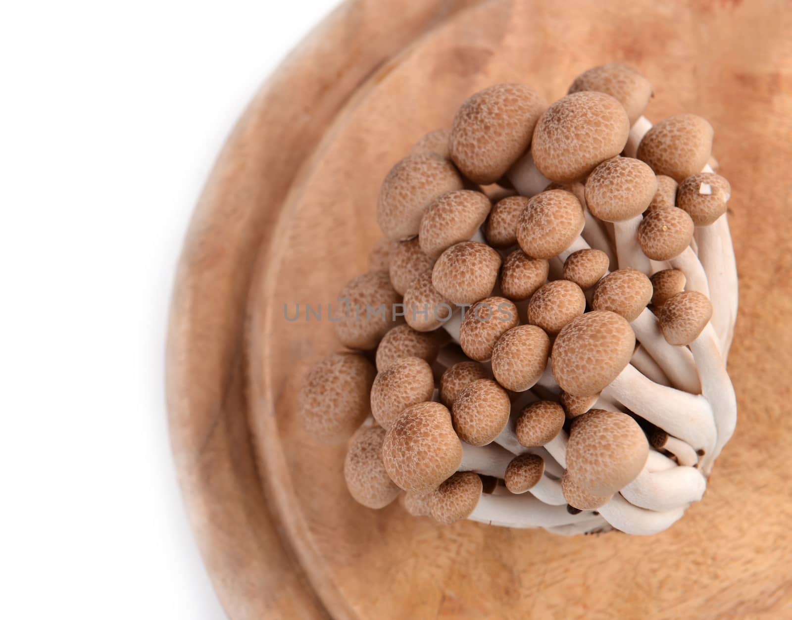 shimeji mushroom on choppng block isolated on white background