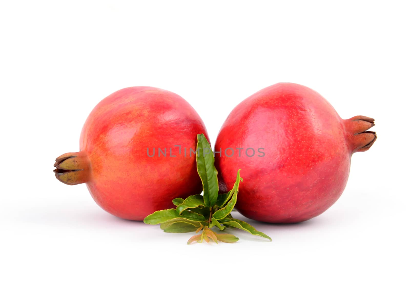 pomegranate isolated on white background