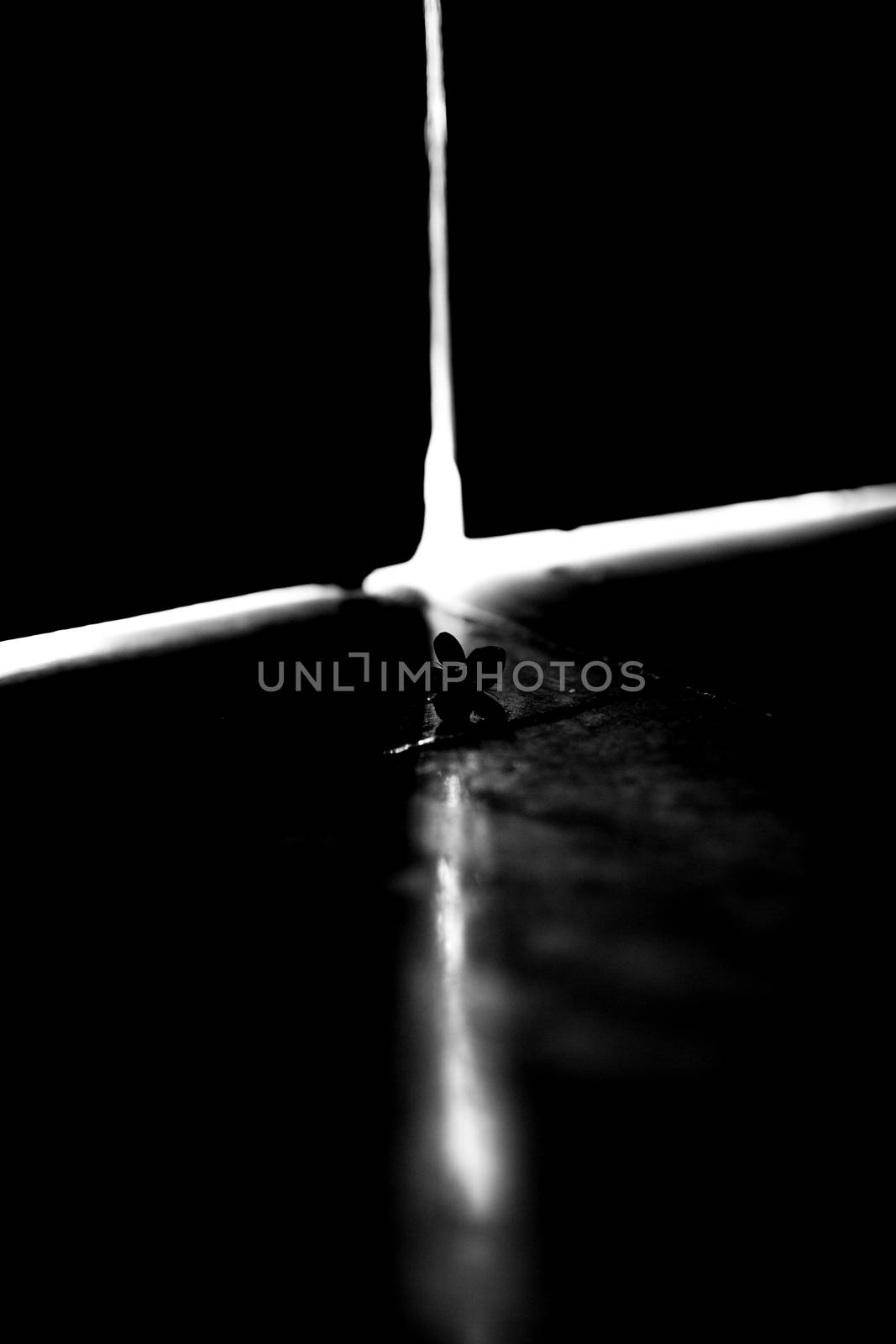 Flower and cross light on the floor.