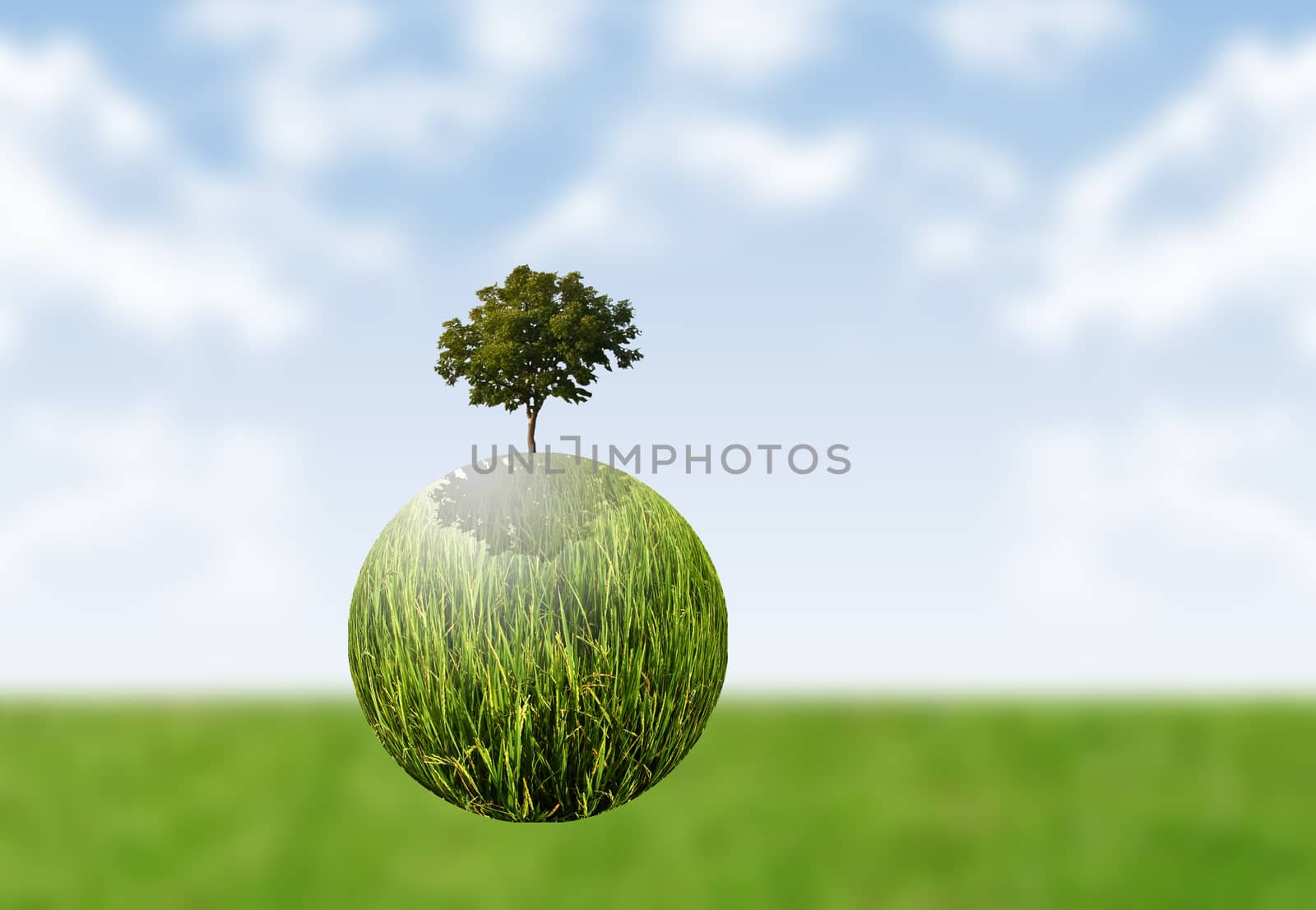 World plant flying with field and sky background, Sustainable concept