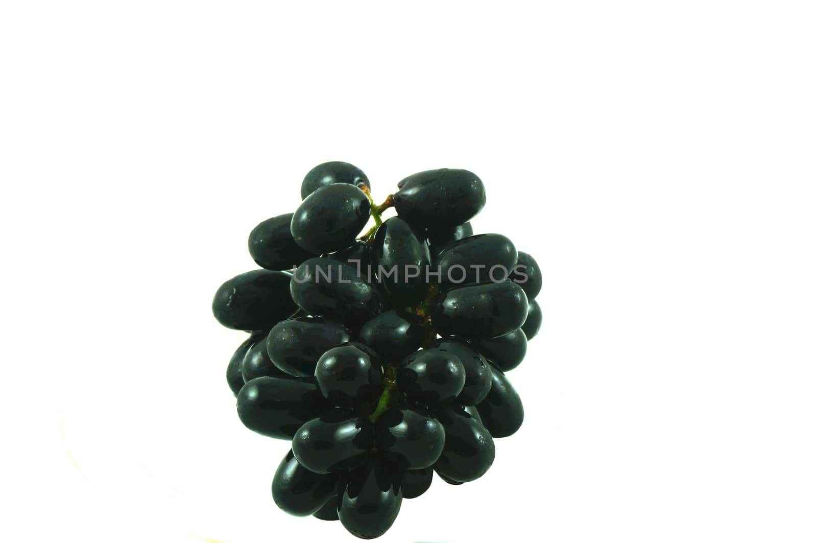 The black grapes on a white background, sorted bushy black naturally.                    