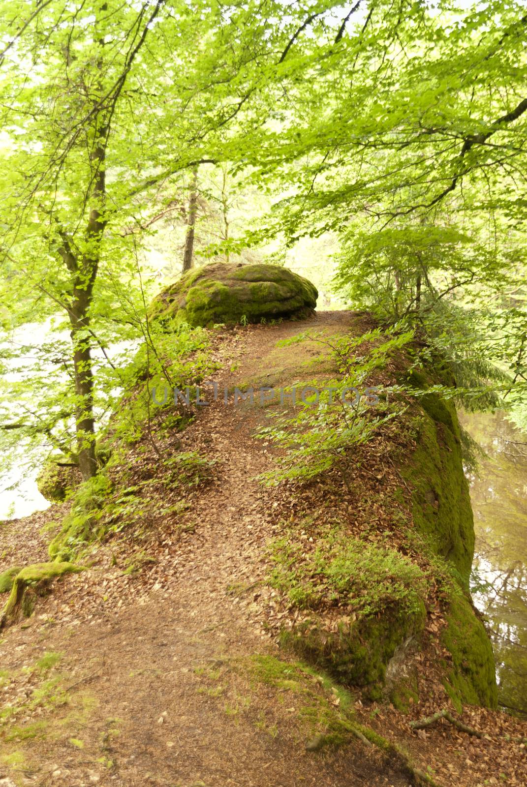 On the Hiking Trail Goldsteig in Germany
