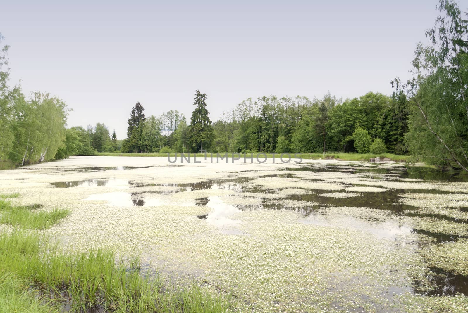 Lake in Upper Palatinate in Germany