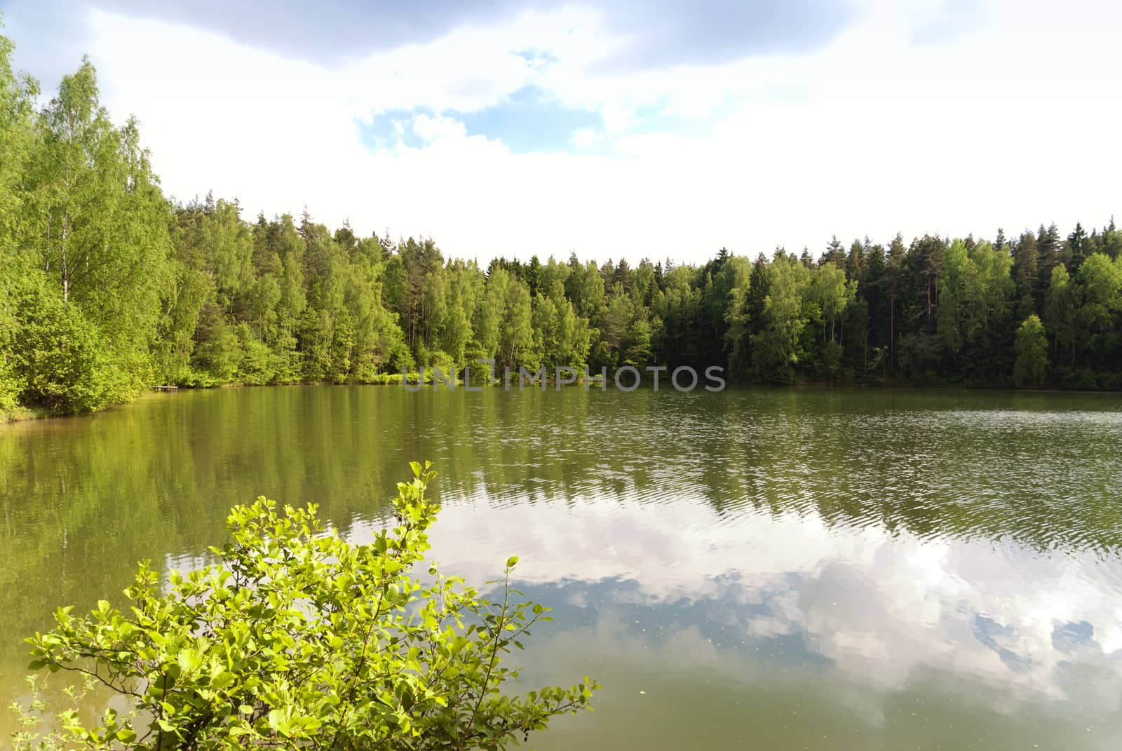 Lake in Upper Palatinate in Germany