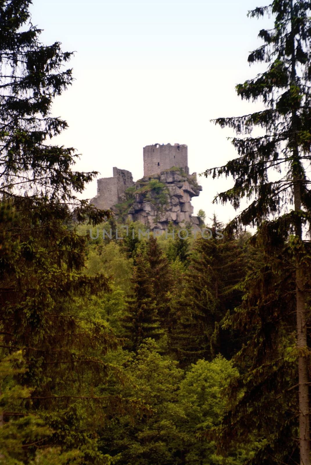 On the Hiking Trail Goldsteig in Germany