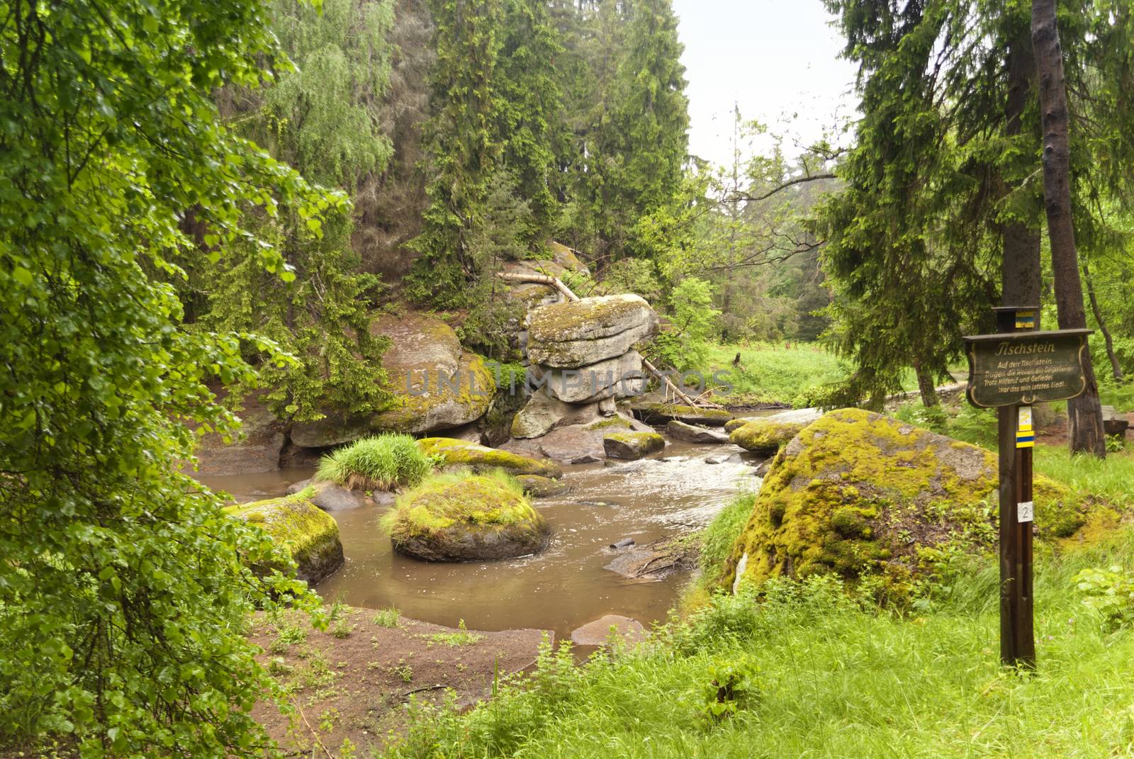 On the Hiking Trail Goldsteig in Germany