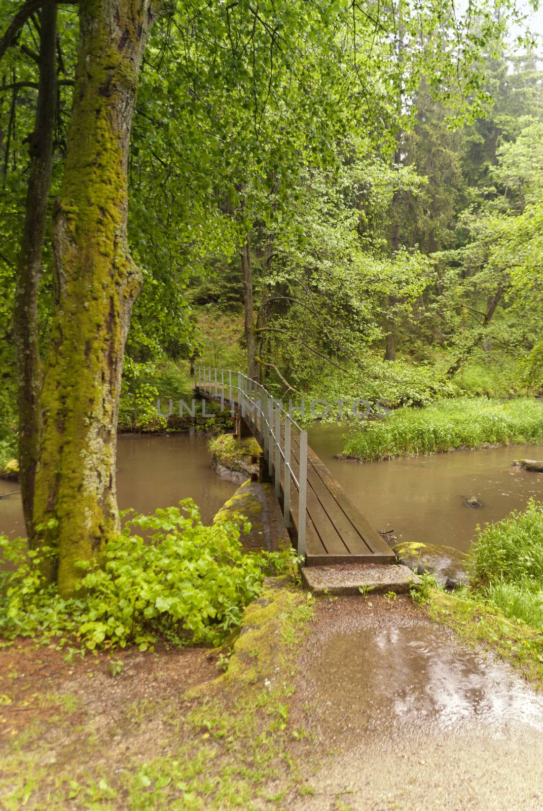 On the Hiking Trail Goldsteig in Germany