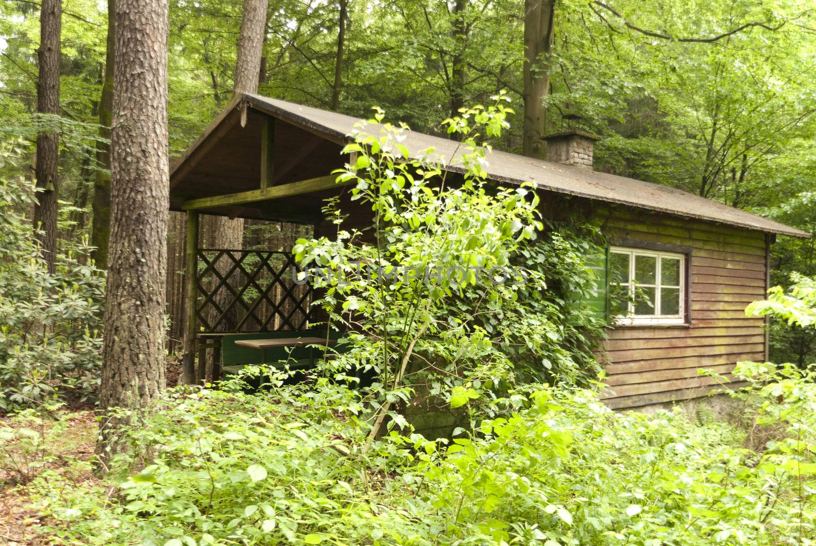 On the Hiking Trail Goldsteig in Germany