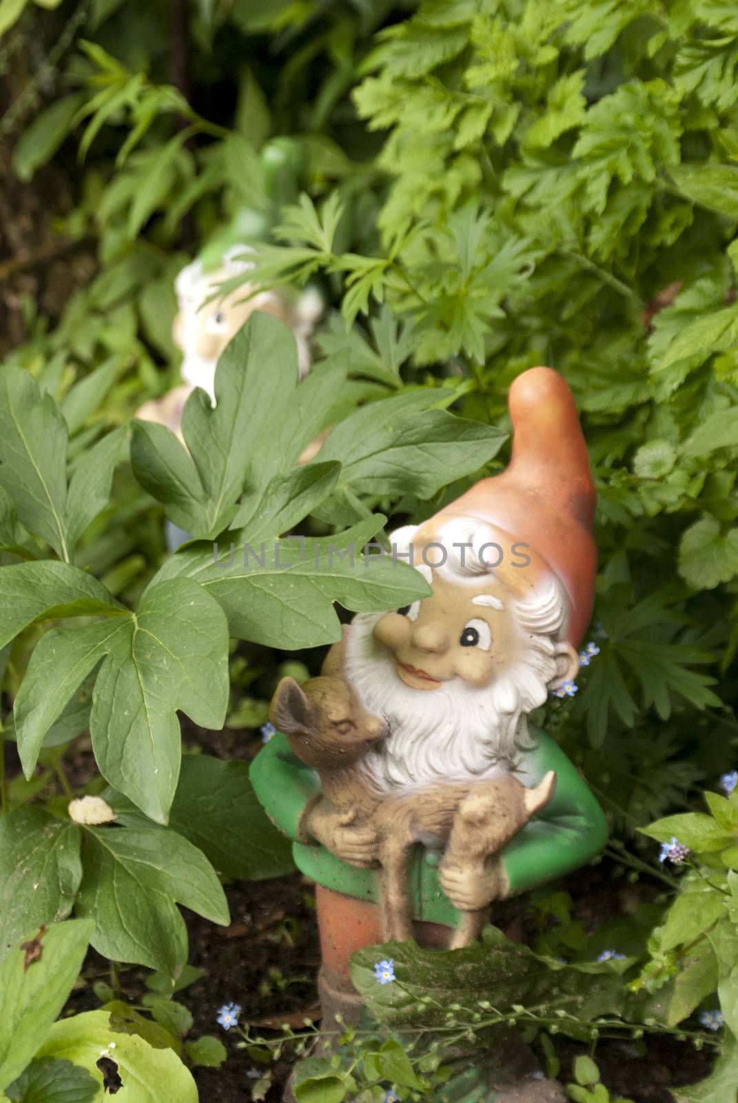 Detail in a german Garden