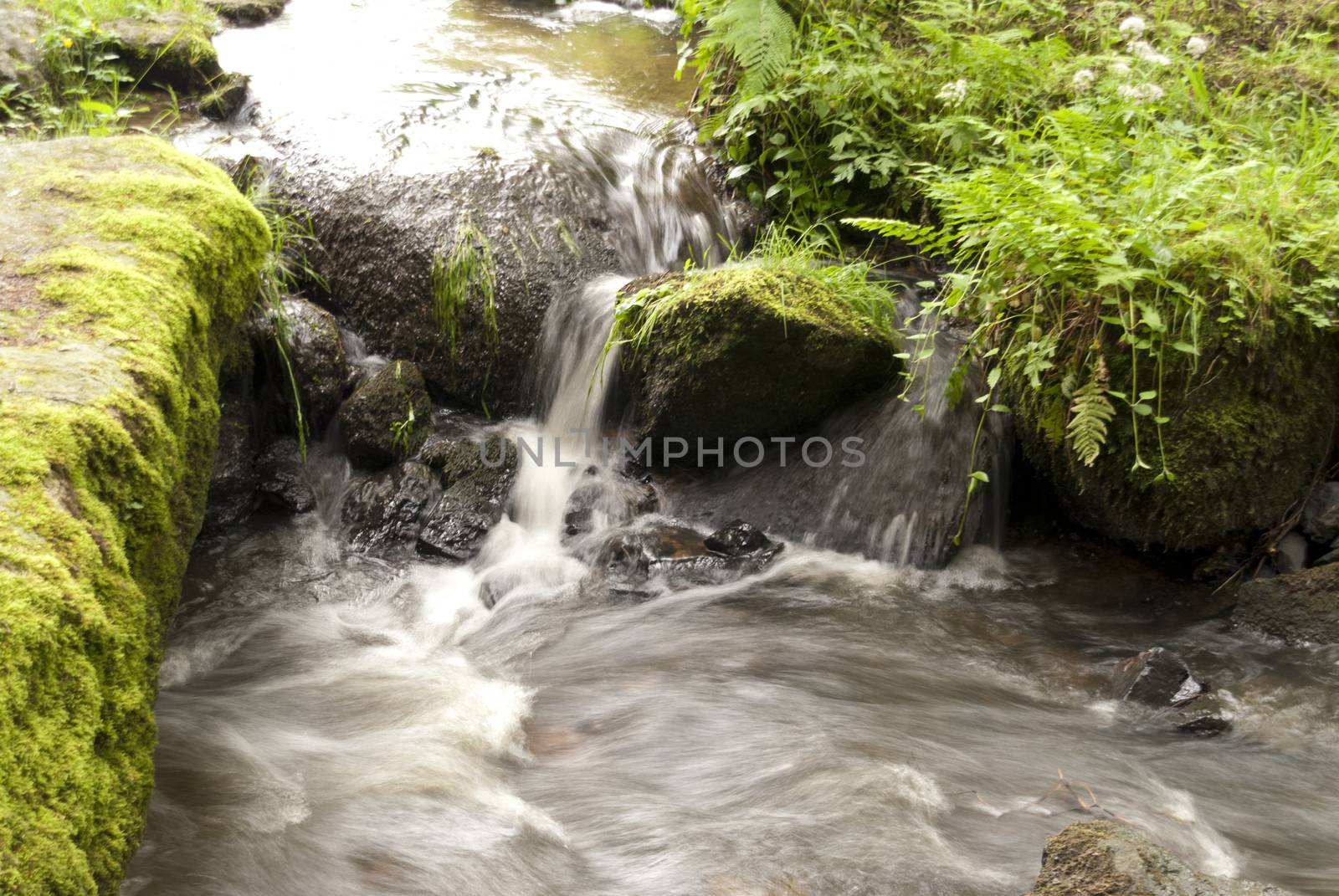 Nature Reserve Doost in Upper Palatinate in Germany