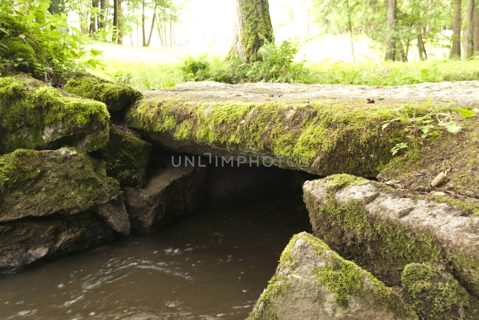 Nature Reserve Doost in Upper Palatinate in Germany