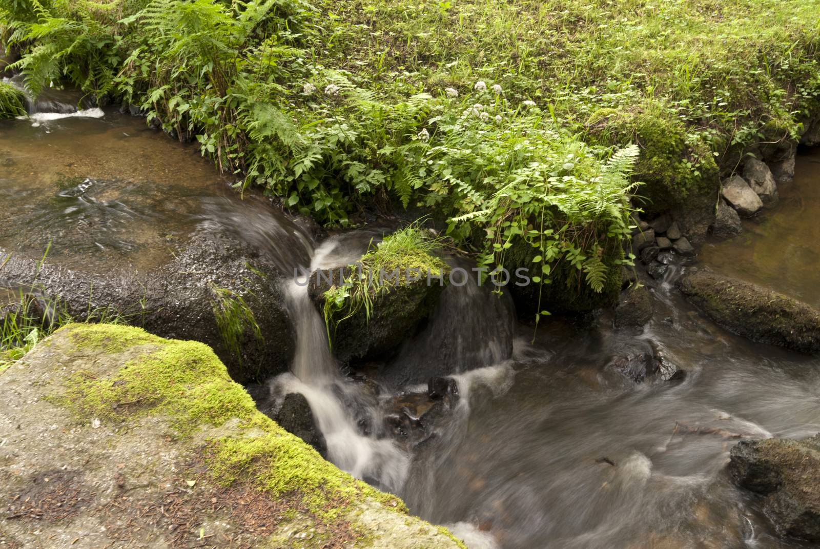 Nature Reserve Doost in Upper Palatinate in Germany