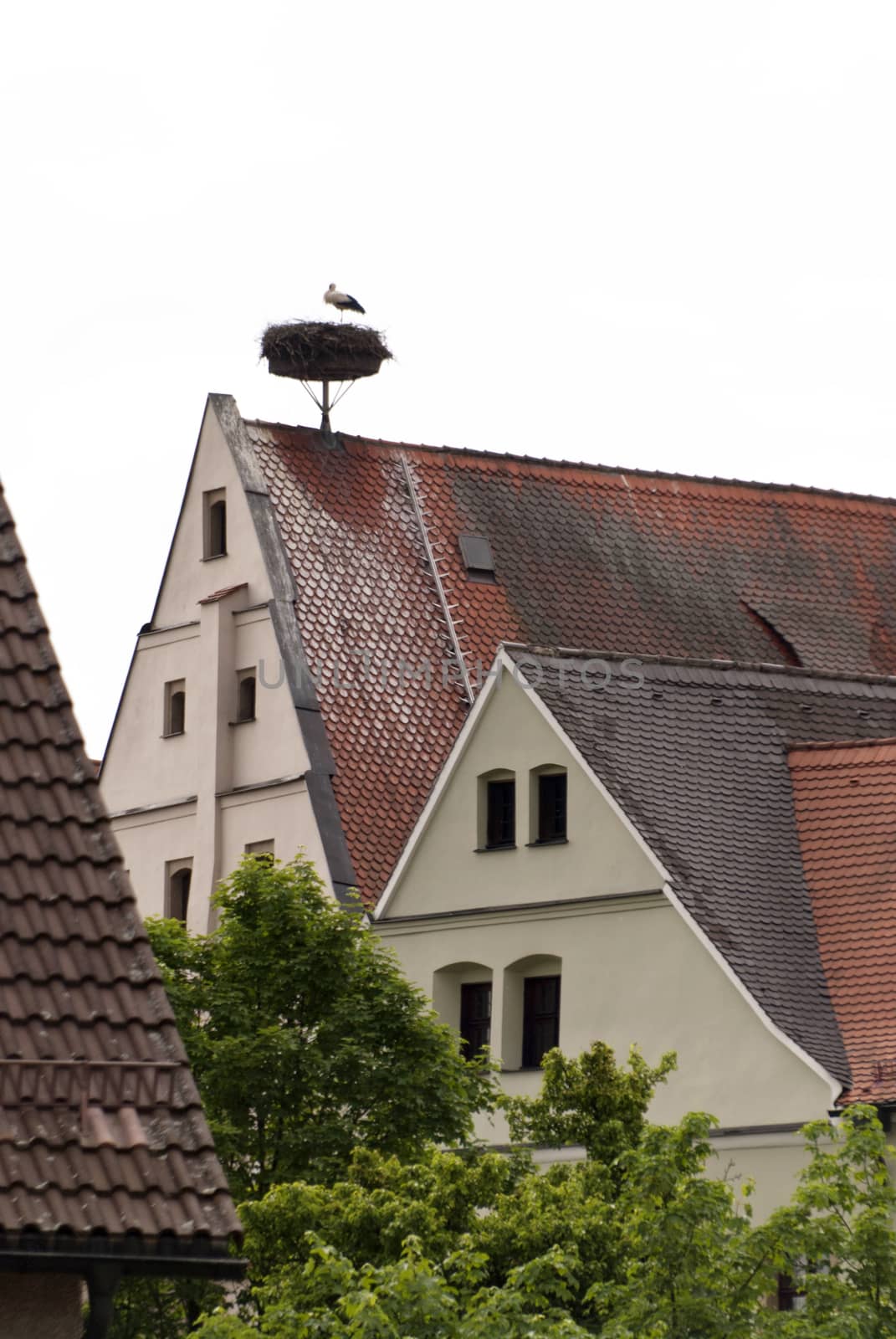 Old Town of Neustadt in Germany