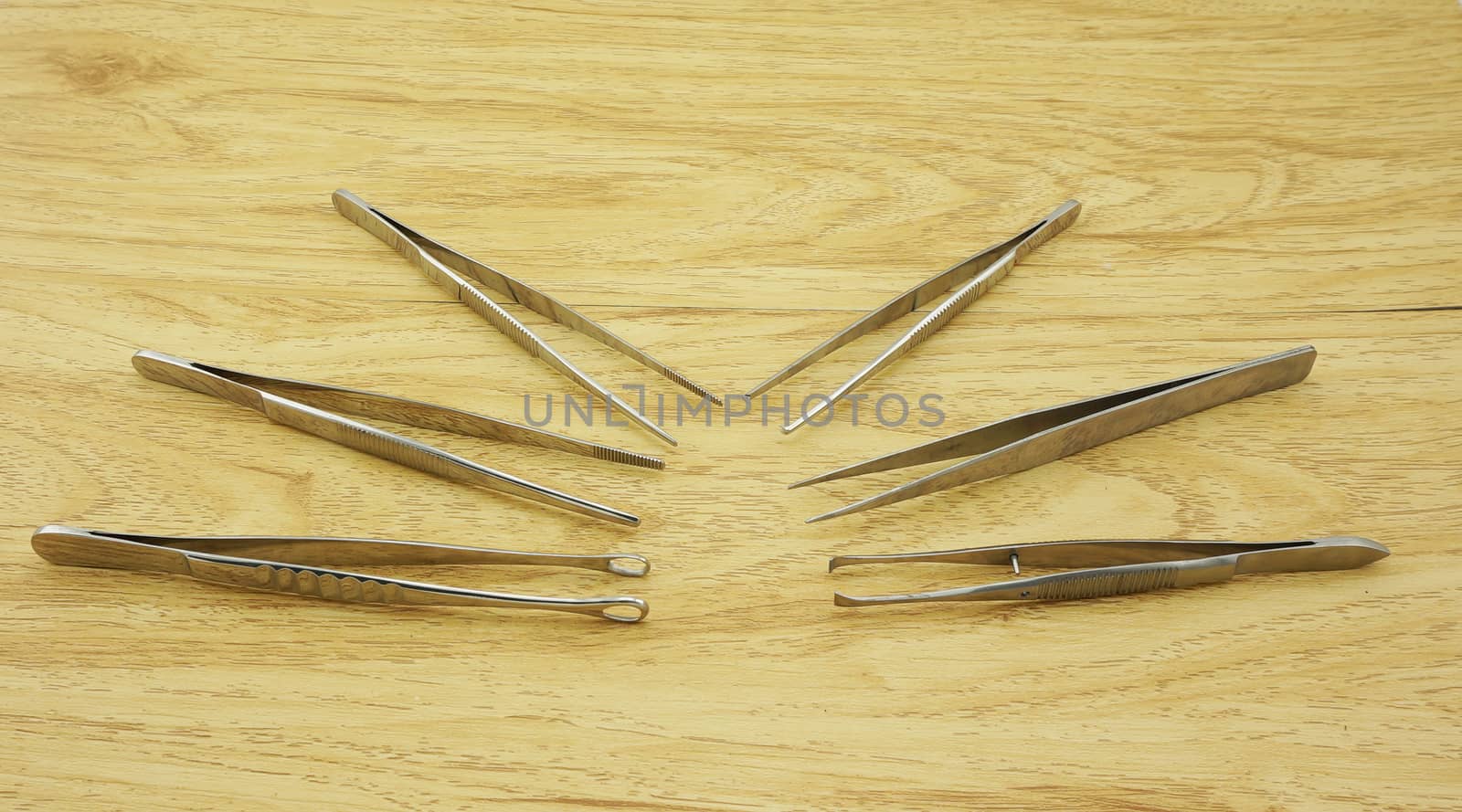 Many types of forceps that used in hospitals, made ??of stainless steel arranged on the table.                               