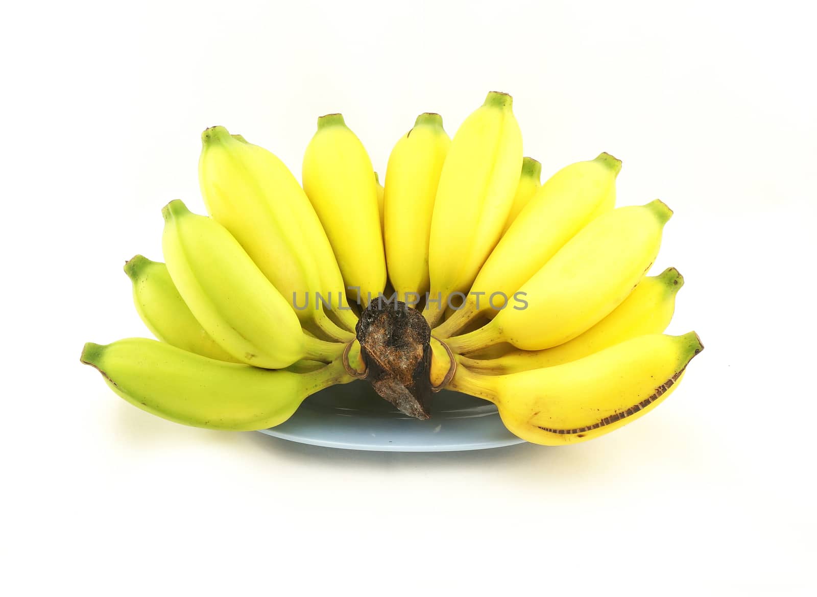 Near ripe banana, have large size, gold colour, delicious, and beneficial to the body. Placed on a blue plate.                              