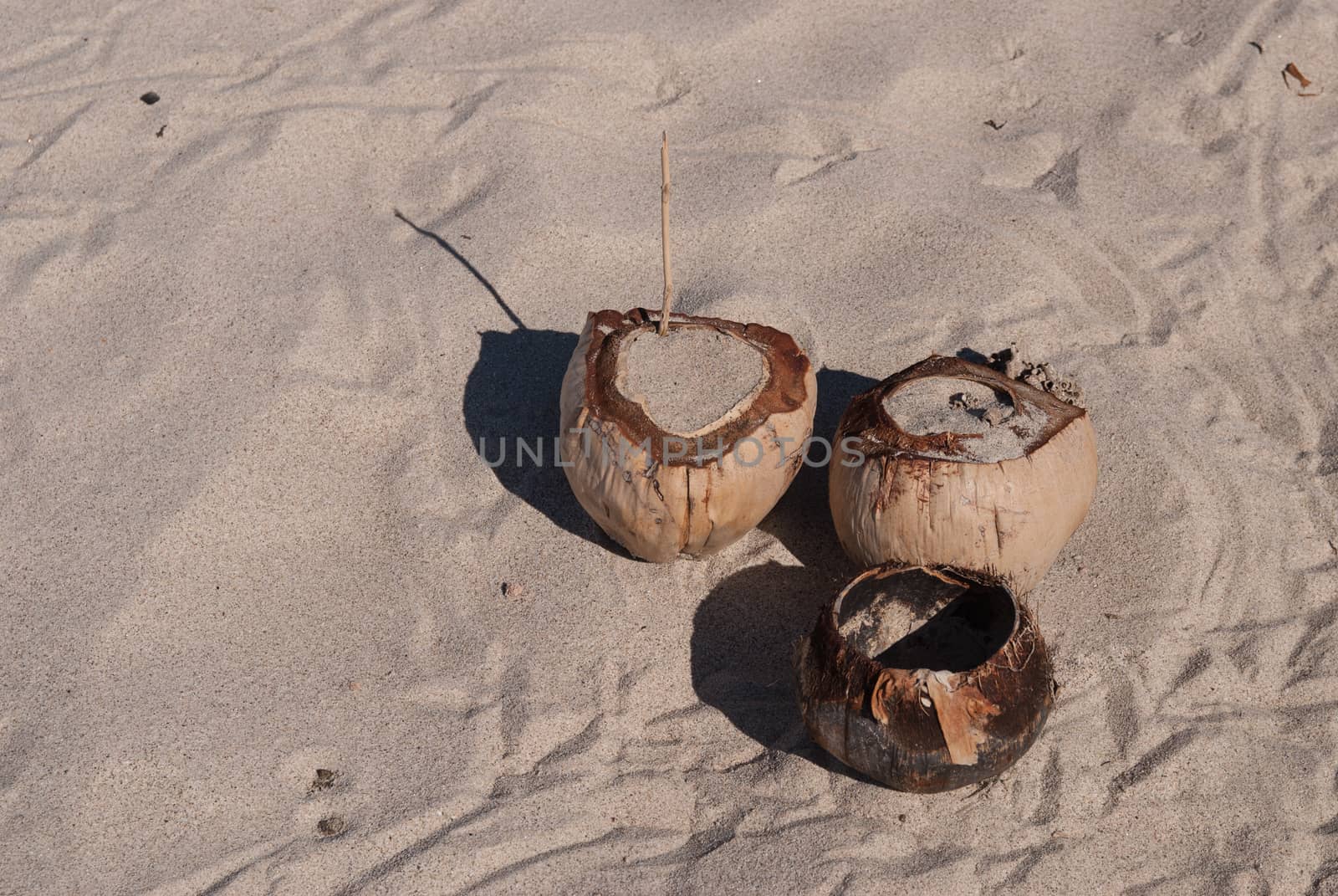 Three coconuts on a sandy beach in Mexico