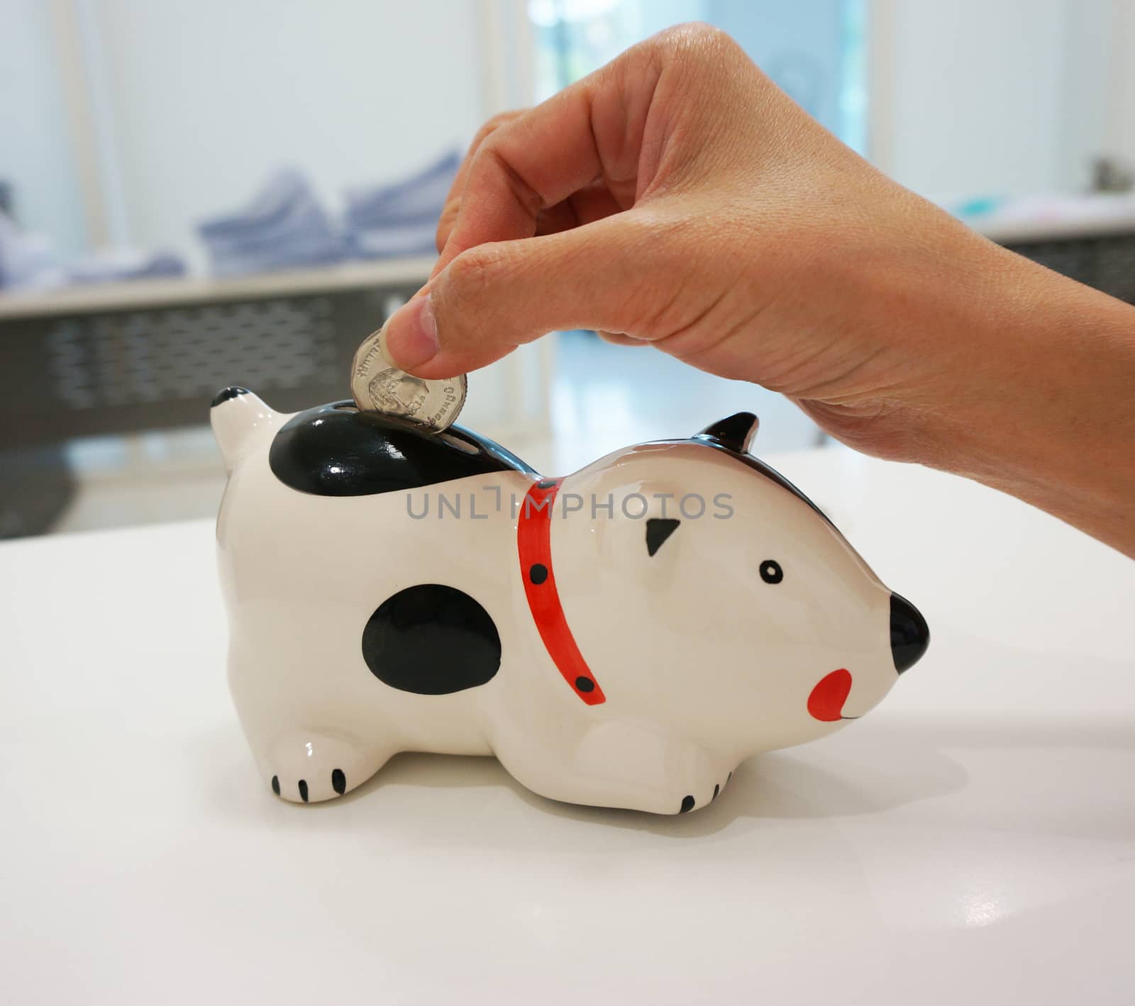 Coins in hand drops into a piggy bank shaped like a puppy.                               