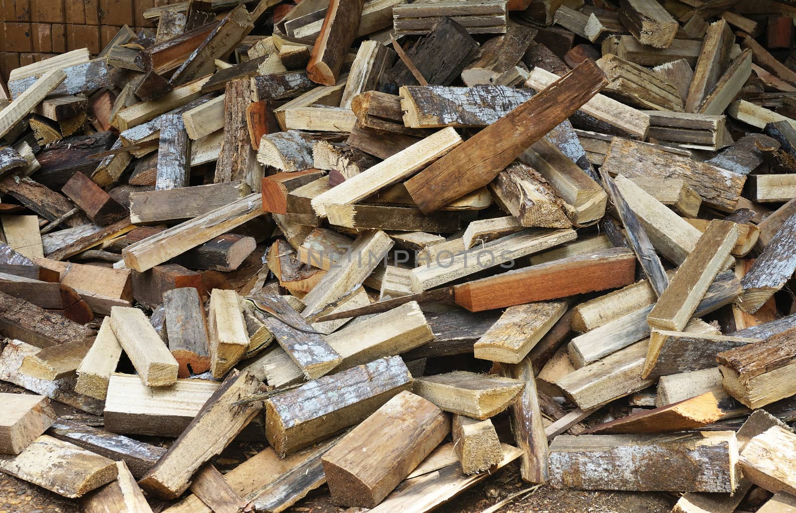 Stack of chopped firewood by ninun