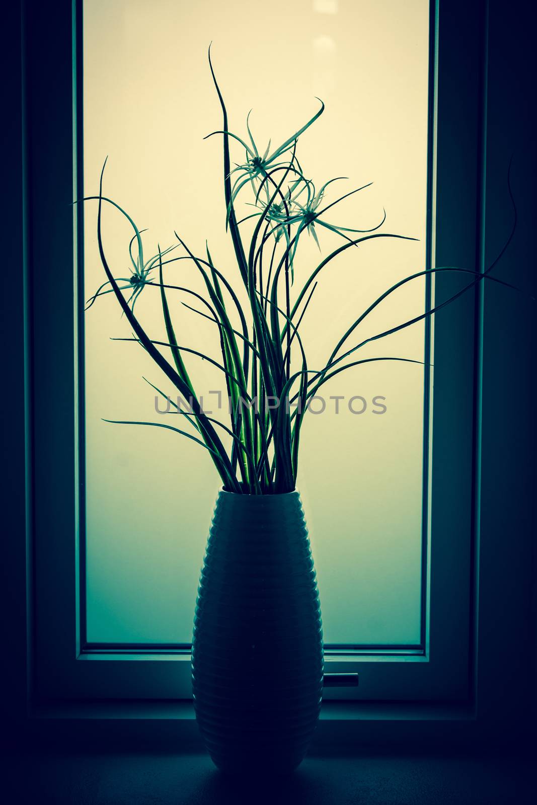 Flower silhouette in a bathroom window by Sportactive