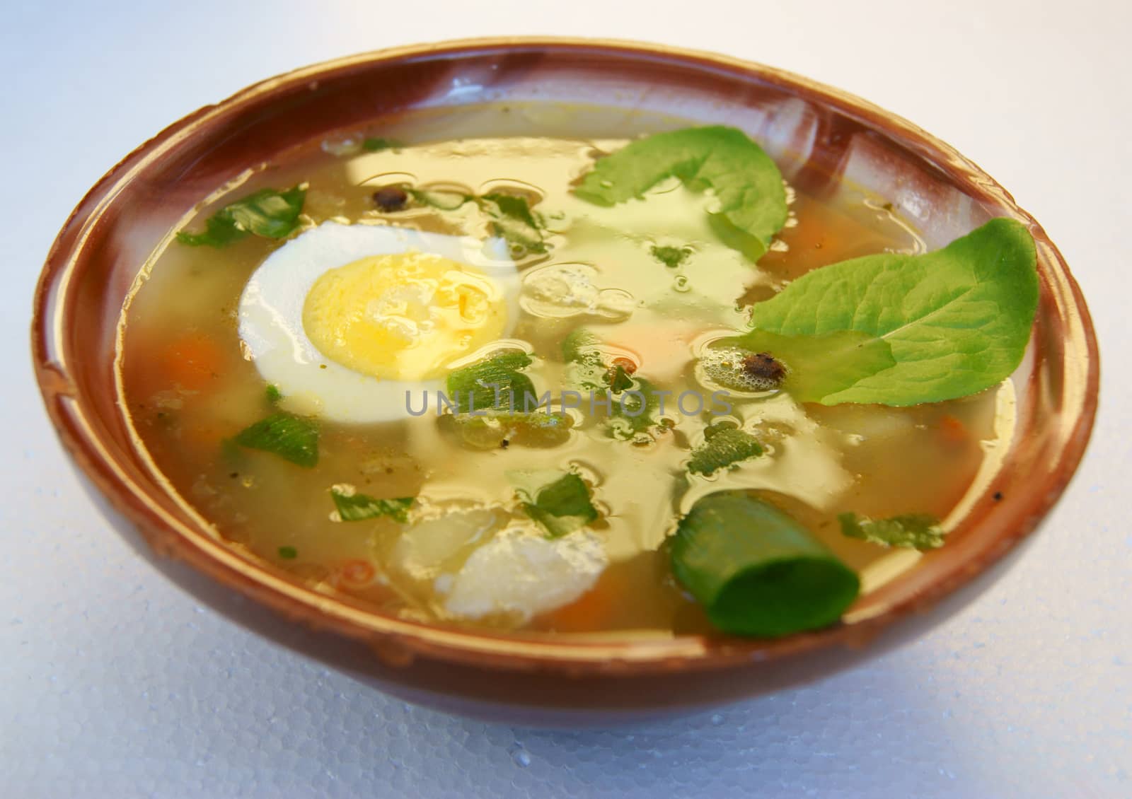 Hot meal on white background is insulated