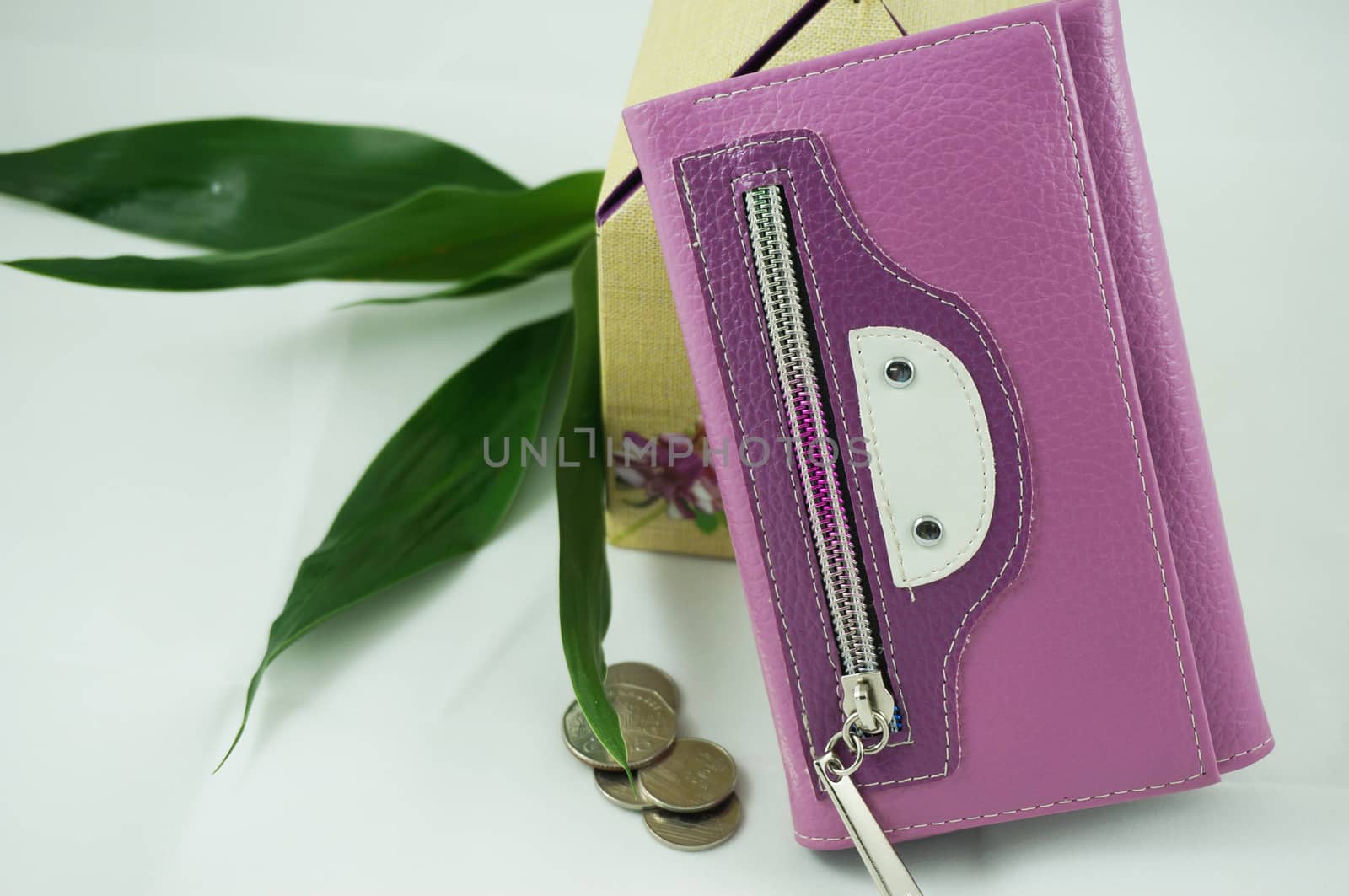 The purple wallet by ninun