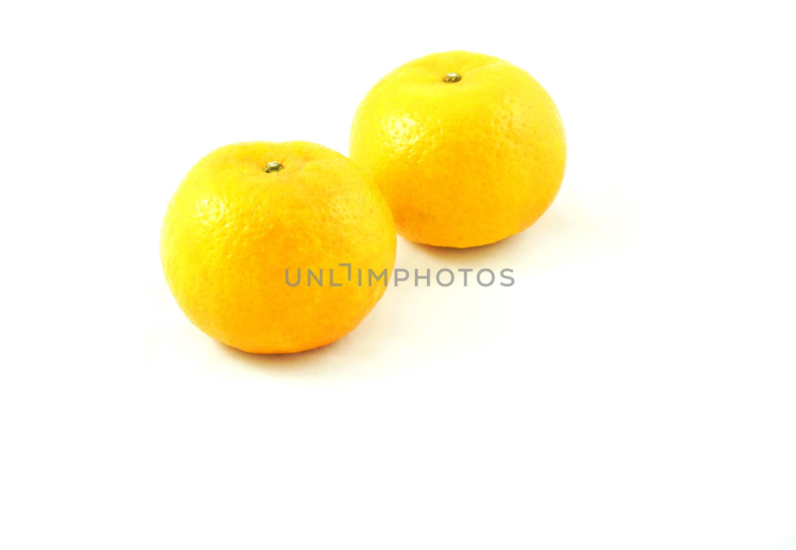 The buautiful orange has yellow gold color, white background, sweet and sour taste.                             