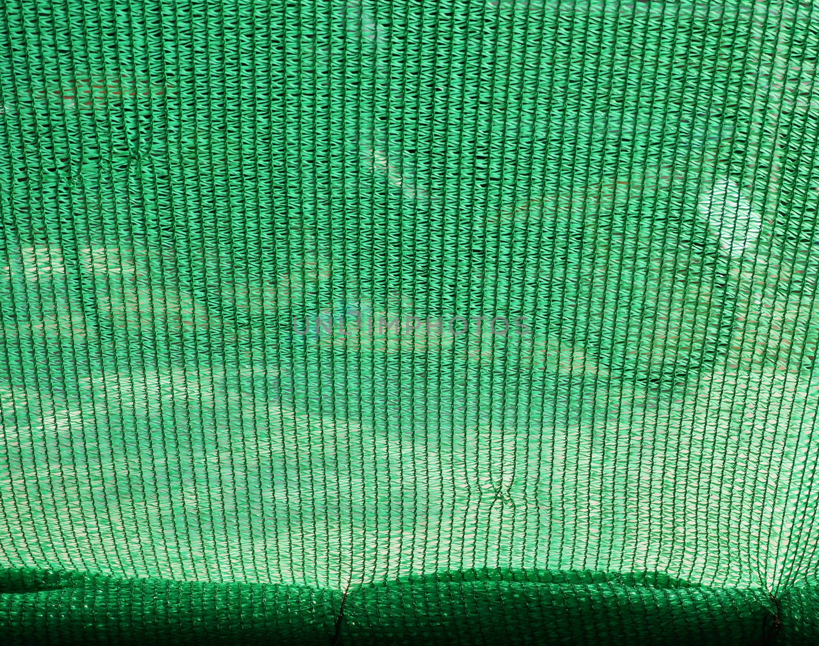 Green mesh was sticked it outside the house to protect the sun shines down too hard.                              