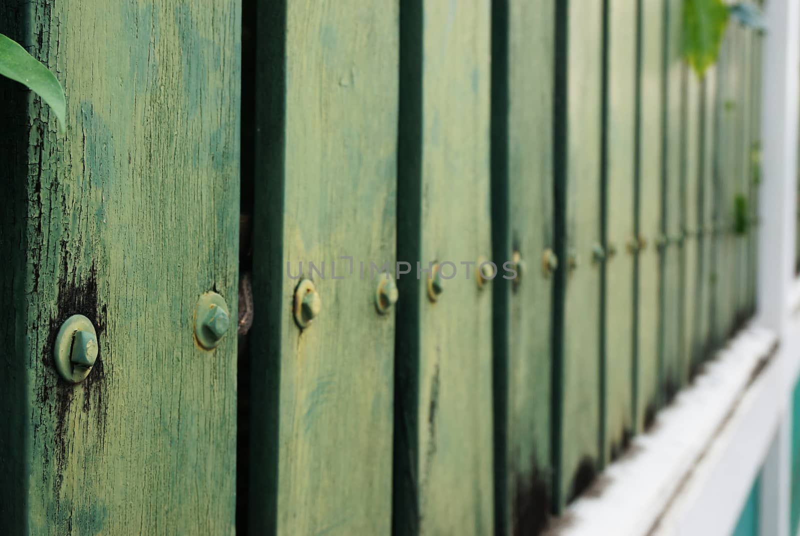 Green antique old style wooden fence with some paint peeling off.                               