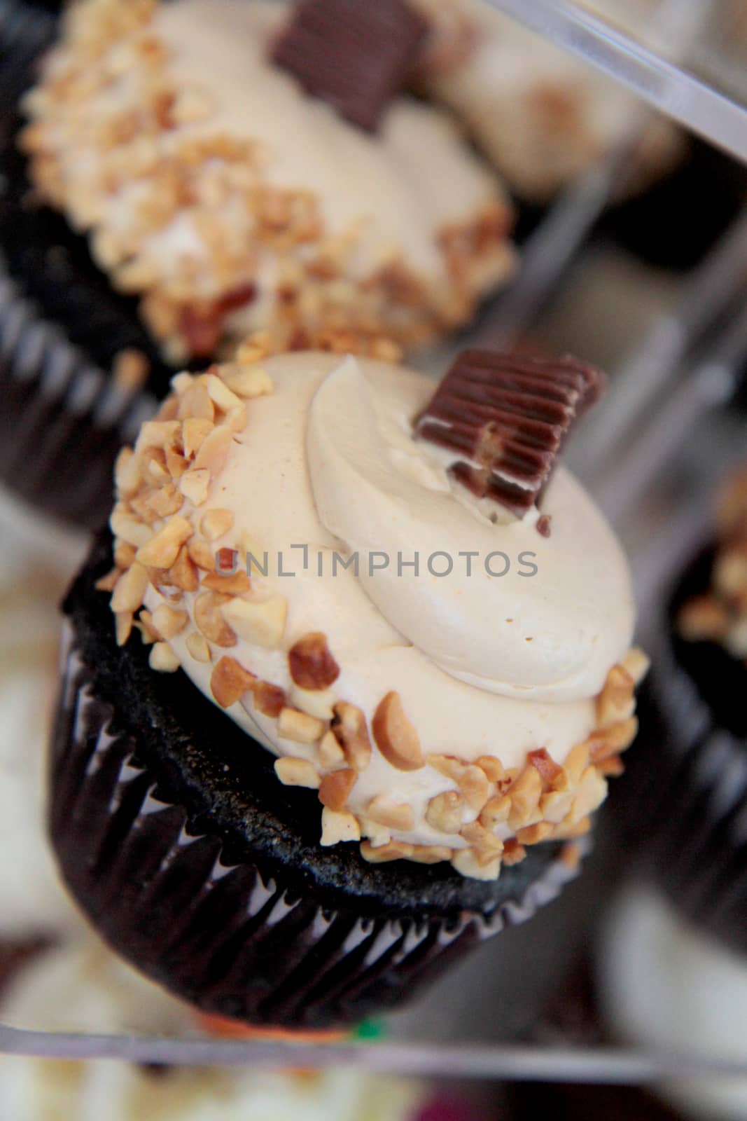 chocolate and peanut butter cupcake by ftlaudgirl