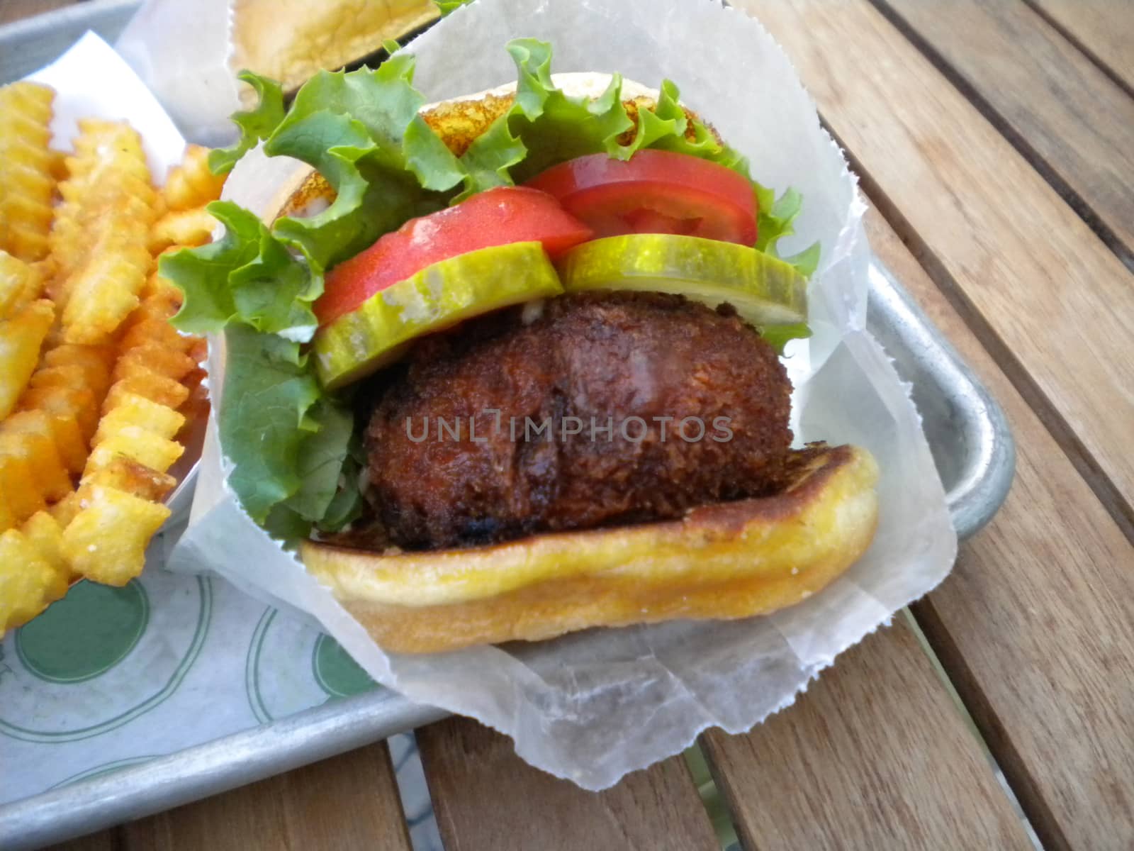 vegetarian mushroom burger and fries by ftlaudgirl