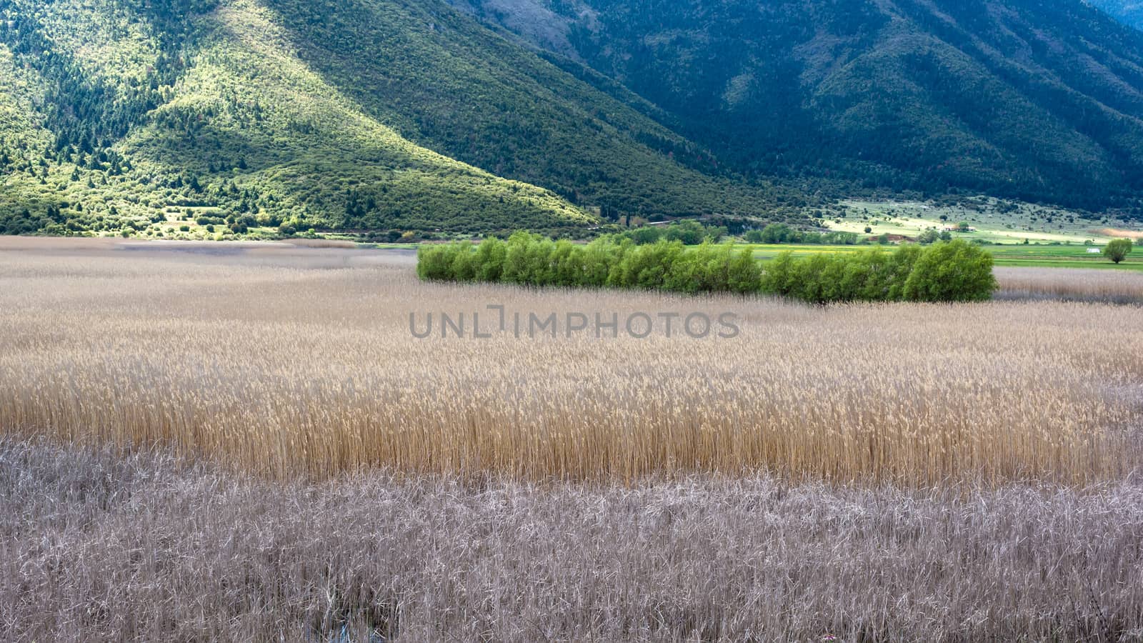 Landscape of Stymfalia Lake in Peloponnese, Greece