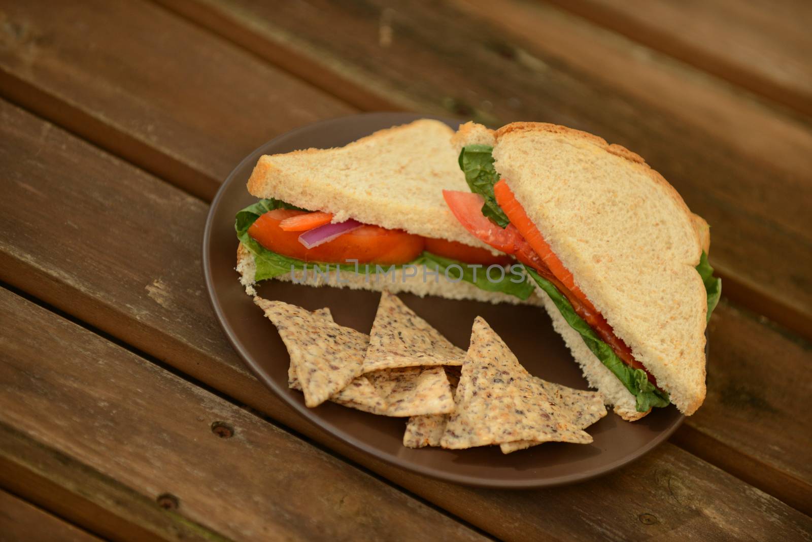 vegetable sandwich on whole wheat bread with tortilla chips