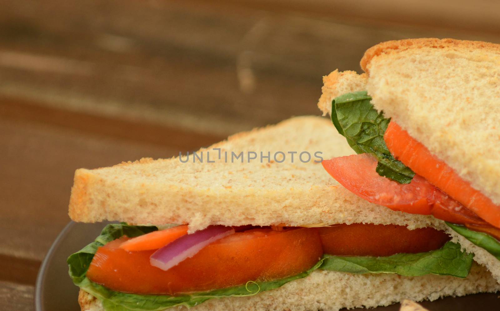 healthy vegetable sandwich by ftlaudgirl