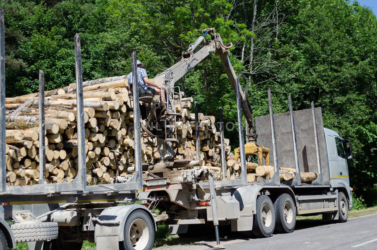 Man with special crane equipment load truck trailer with wood logs near forest. Forest fell.