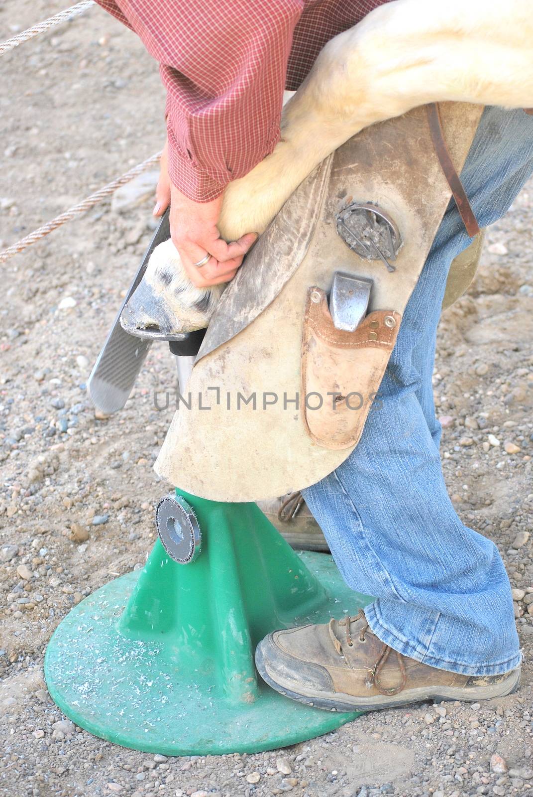 Male farrier working on a horseshoe.