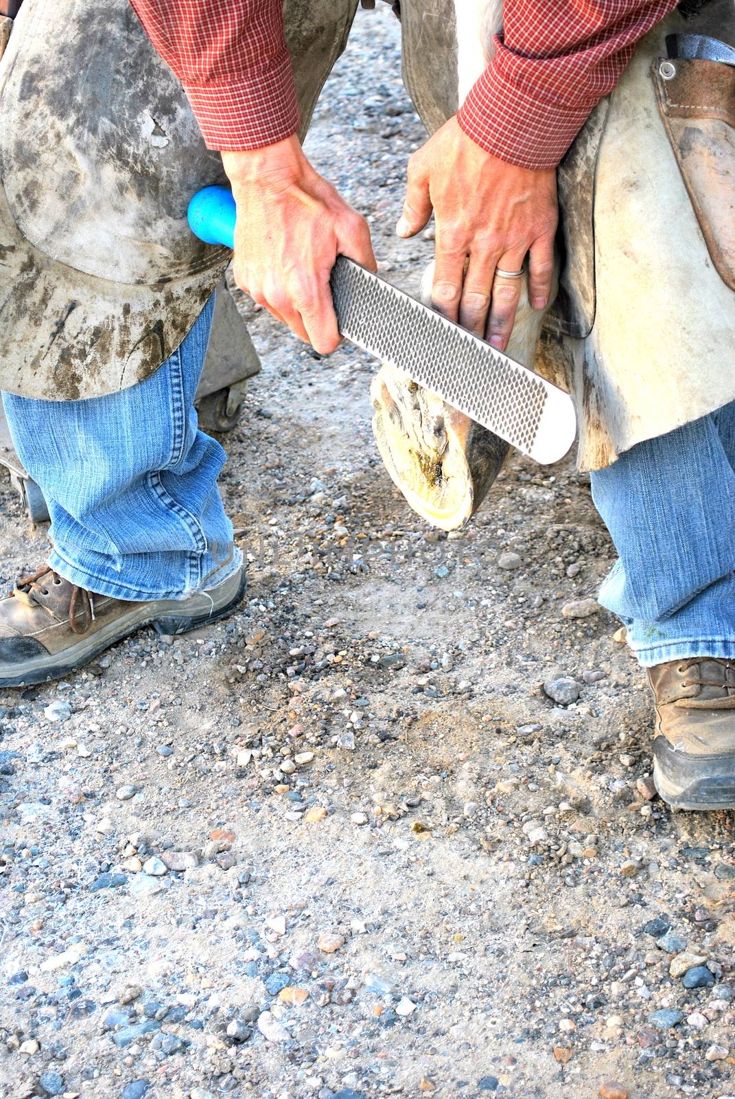 Male farrier working on a horseshoe.