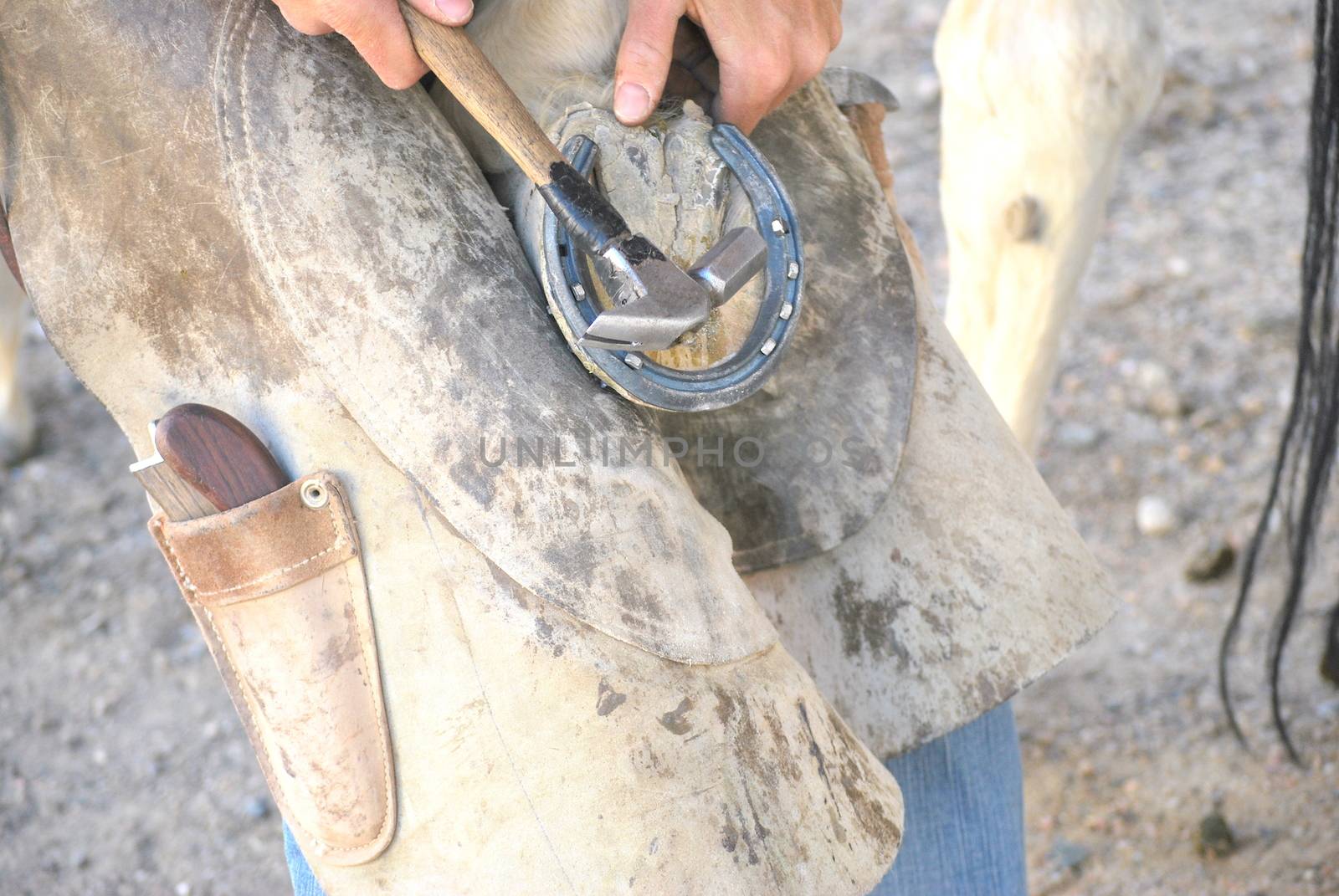 Male farrier working on a horseshoe.