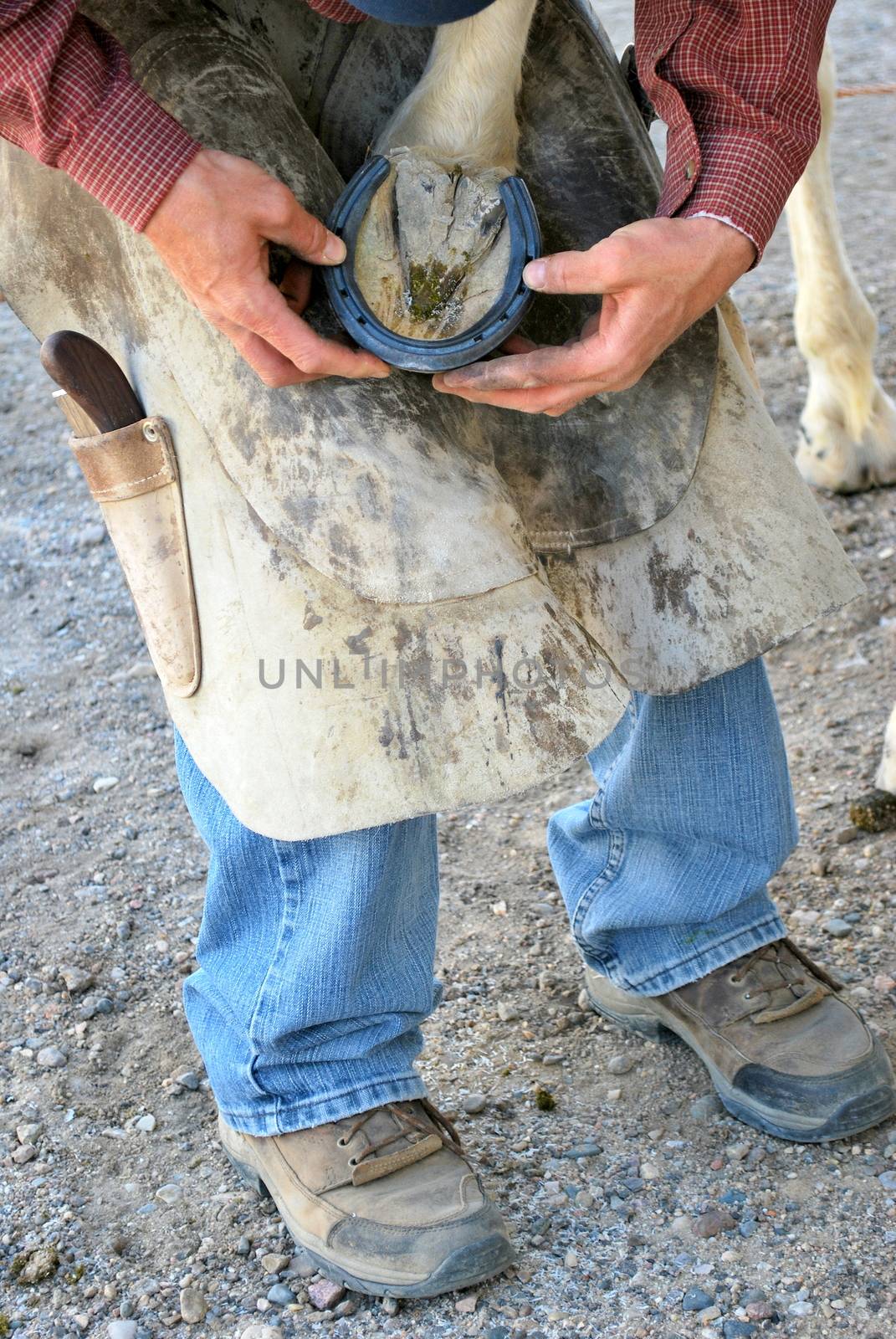 Male farrier working on a horseshoe.