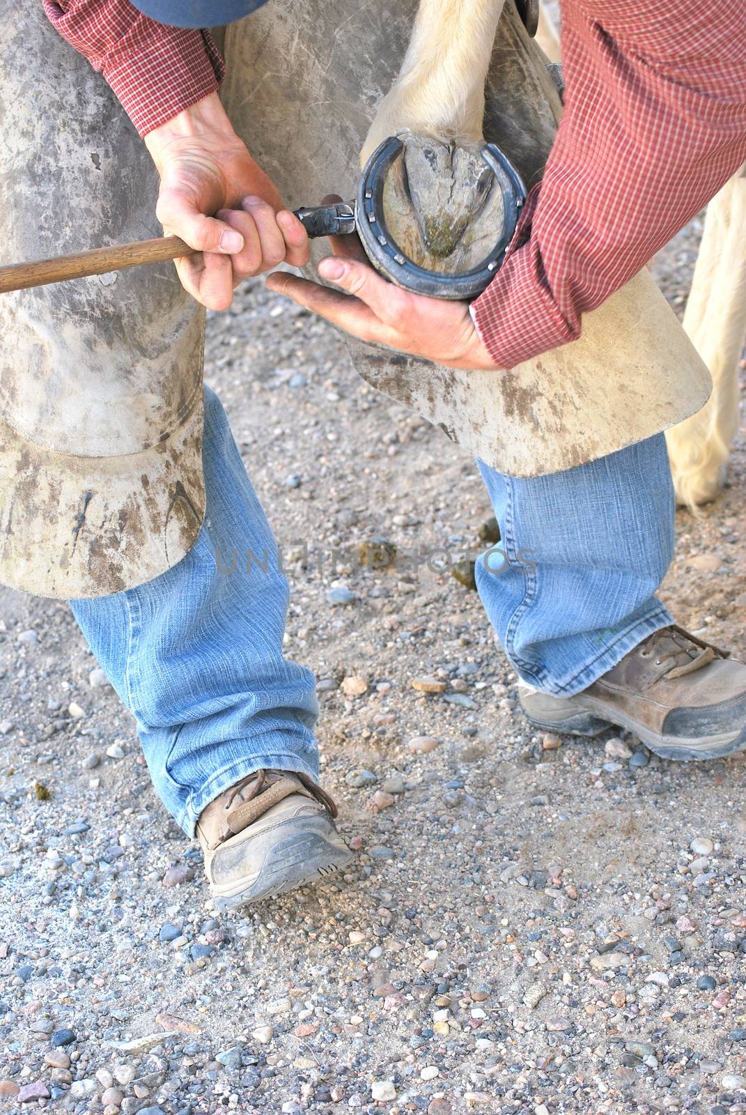 Male farrier working on a horseshoe.