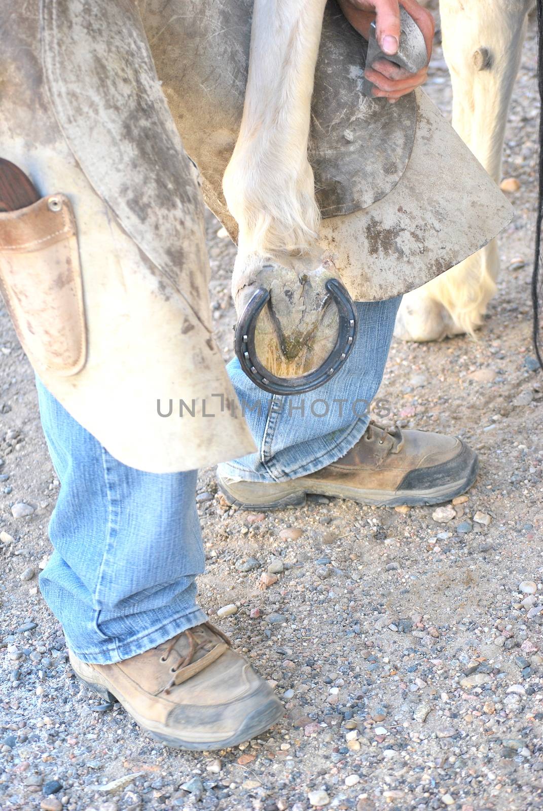 Male farrier working on a horseshoe.