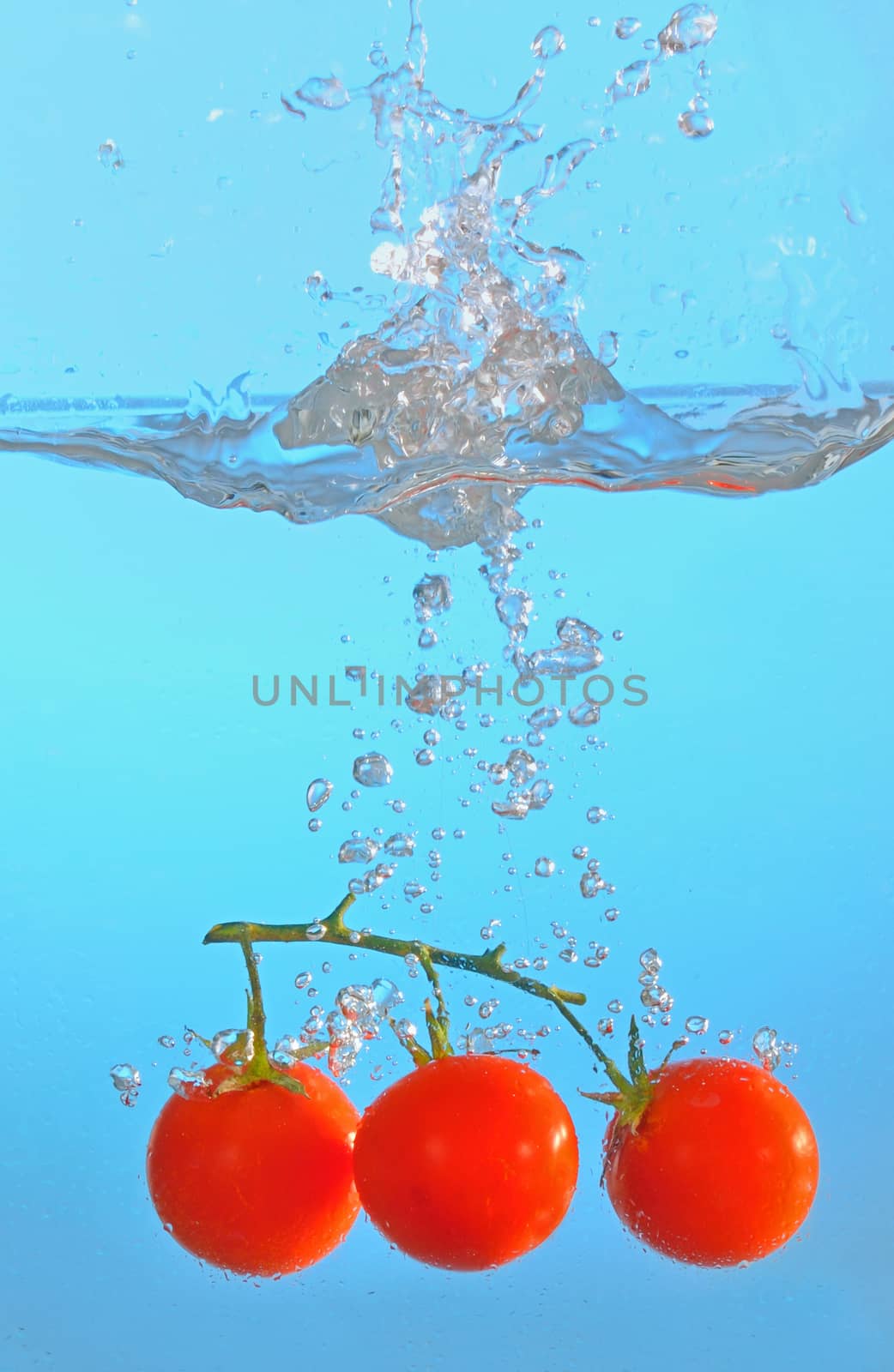 bunch of cherry tomatoes in splash of water, Isolated on blue background